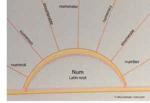 num latin root