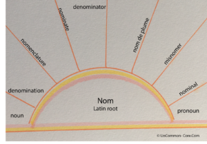 num latin root