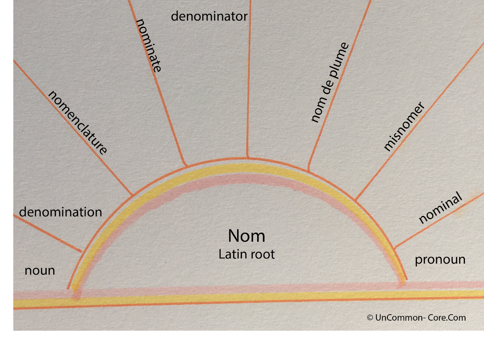 num latin root